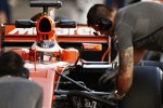 Stoffel Vandoorne (McLaren) 
