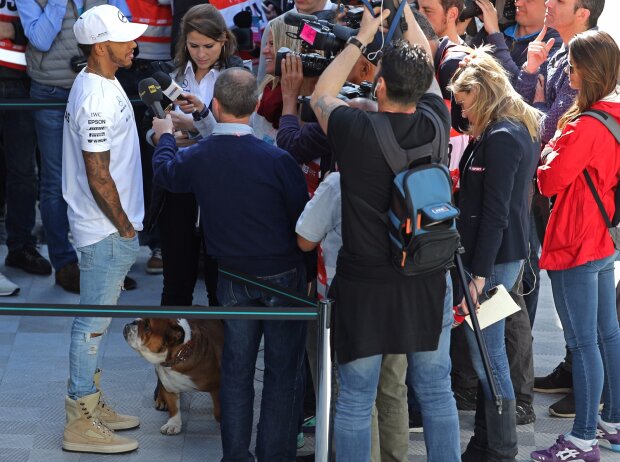 Lewis Hamilton Lewis Hamilton