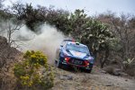 Thierry Neuville (Hyundai) 