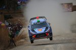 Hayden Paddon (Hyundai)