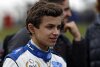 "Verträge für Marko": McLaren-Junior schießt gegen Red Bull