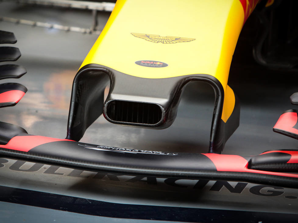 Nase des Red Bull RB13