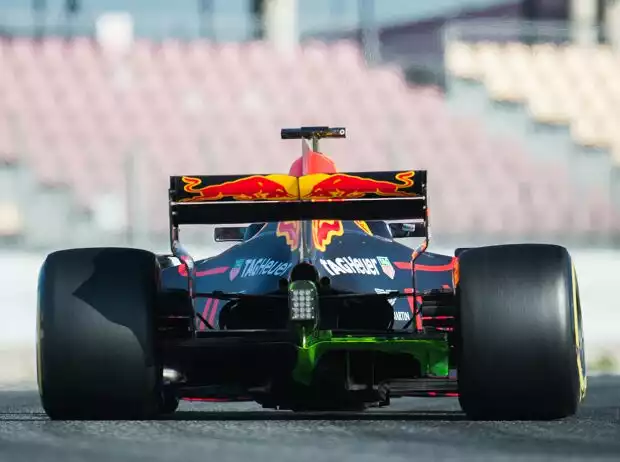Max Verstappen Titel-Bild zur News: Max Verstappen