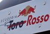 Bild zum Inhalt: Platz fünf als Saisonziel: Für Toro Rosso "extrem schwierig"