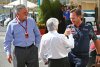 Bild zum Inhalt: "Carey-Flügel": Horner macht sich über Formel-1-Boss lustig