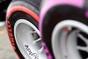 Bild zum Inhalt: Eine Sorge weniger: Lob für neue Pirelli-Reifen