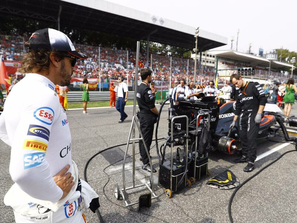 Fernando Alonso