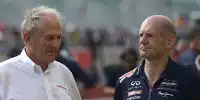Helmut Marko, Adrian Newey