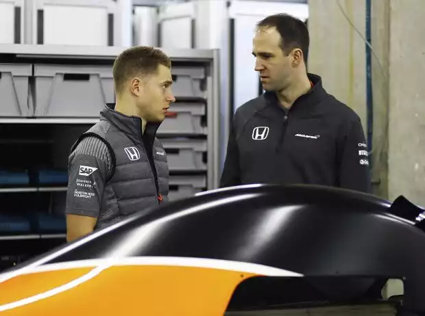 Titel-Bild zur News: Stoffel Vandoorne