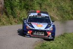 Thierry Neuville (Hyundai)