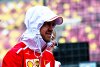 Bild zum Inhalt: Sebastian Vettel warnt Liberty: Bitte jetzt nicht alles ändern!