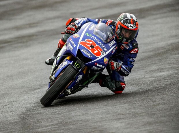Maverick Vinales Maverick Vinales