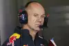 Bild zum Inhalt: Daniel Ricciardo: Andere sind auch so gut wie Adrian Newey