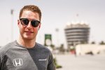 Stoffel Vandoorne (McLaren) 