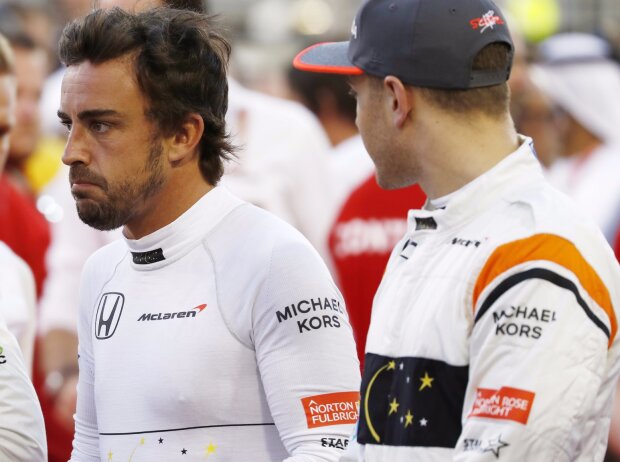 Fernando Alonso, Stoffel Vandoorne