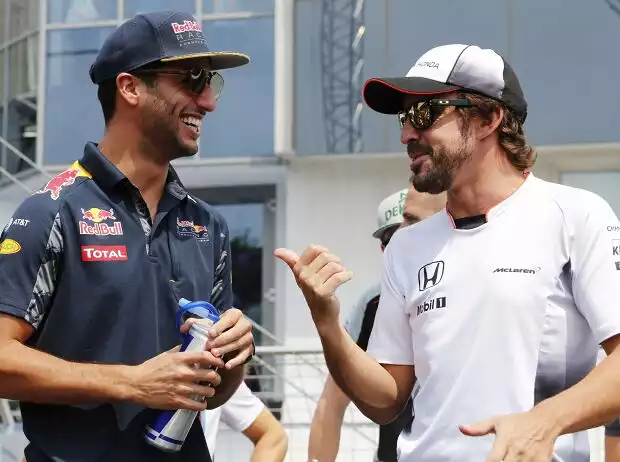 Daniel Ricciardo, Fernando Alonso Titel-Bild zur News: Daniel Ricciardo, Fernando Alonso