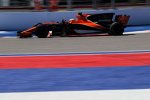 Stoffel Vandoorne (McLaren) 