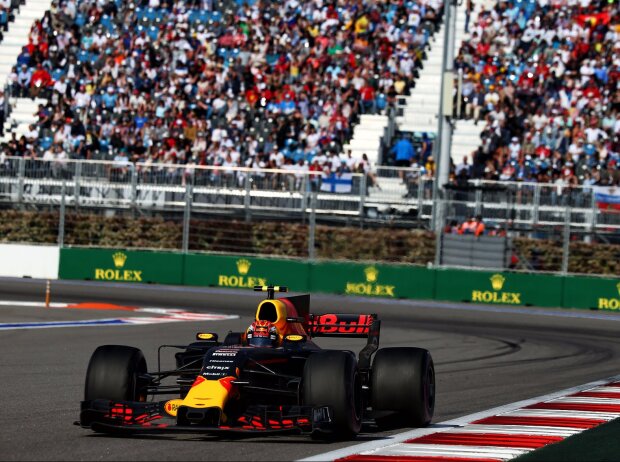 Max Verstappen Max Verstappen