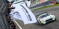 Maro Engel