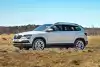 Bild zum Inhalt: Skoda Karoq 2017: Bilder und Infos zu Maße, Motoren und weitere Daten