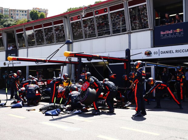 Max Verstappen Max Verstappen