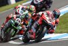 Bild zum Inhalt: Ducati: Was Marco Melandris Ausfall in Donington verursachte