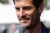 Bild zum Inhalt: Mark Webber: Alonso kann sich mit Le Mans Zeit lassen