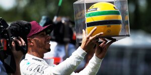 Daniel Ricciardo über Hamiltons Senna-Helm: "Motherfucker!"