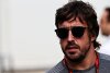 Bild zum Inhalt: Alonso stichelt: "Alle denken, wir sind in der Aufwärmrunde ..."
