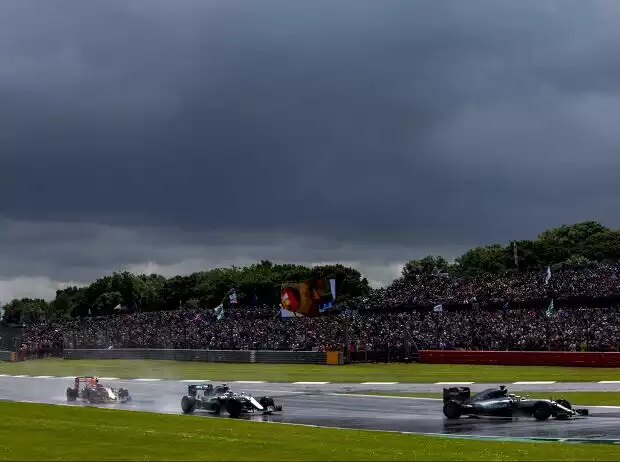 Lewis Hamilton, Nico Rosberg, Max Verstappen Titel-Bild zur News: Lewis Hamilton, Nico Rosberg, Max Verstappen