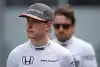 Bild zum Inhalt: Stoffel Vandoorne: Zukunft bei McLaren gesichert?