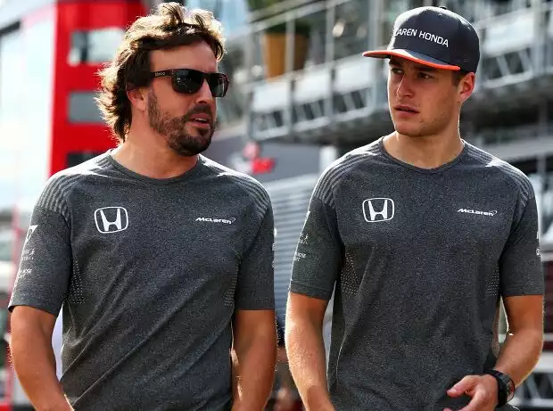 Titel-Bild zur News: Fernando Alonso, Stoffel Vandoorne