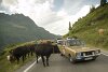 Silvretta Classic 2017: Durch alle Vegetationsstufen