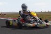 Bild zum Inhalt: Kart Racing Pro: Release der Steam-Version plus Trailer