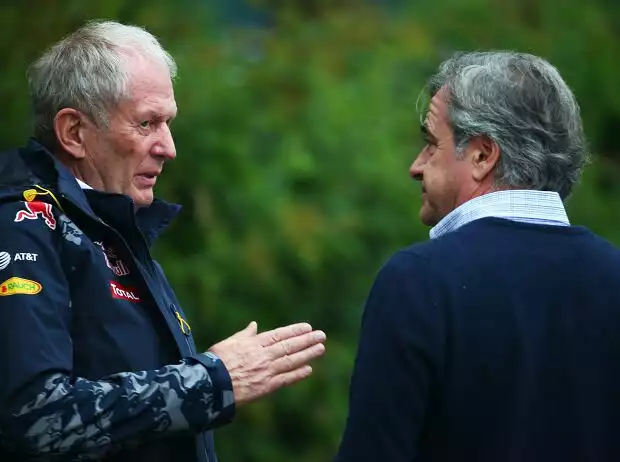 Helmut Marko, Carlos Sainz Titel-Bild zur News: Helmut Marko, Carlos Sainz