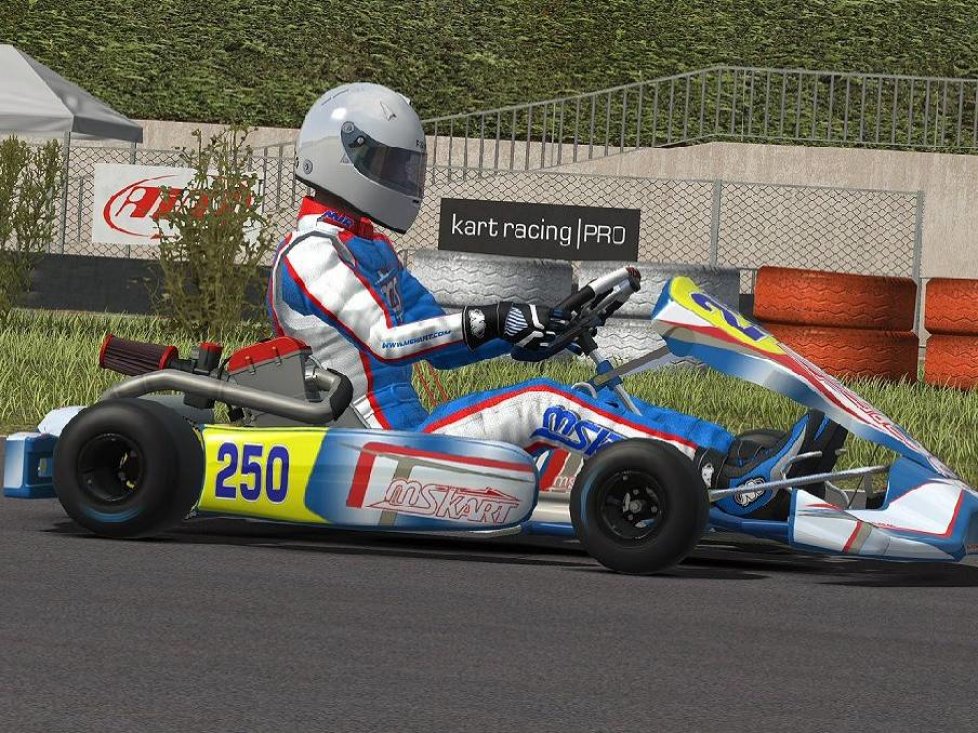 Kart Racing Pro