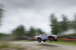 Hayden Paddon (Hyundai) 