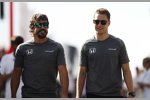 Fernando Alonso (McLaren) und Stoffel Vandoorne (McLaren) 