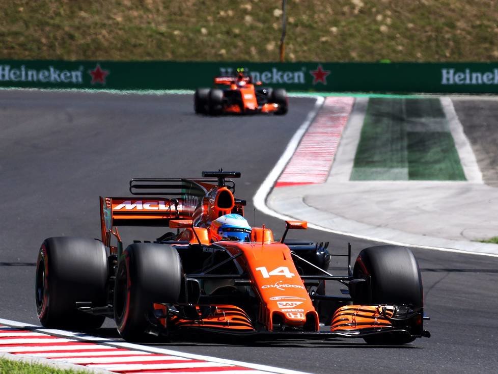 Fernando Alonso, Stoffel Vandoorne