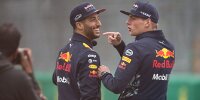 Bild zum Inhalt: Private Aussprache: Ricciardo und Verstappen wieder versöhnt