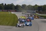 Will Power (Penske) und Josef Newgarden (Penske) 