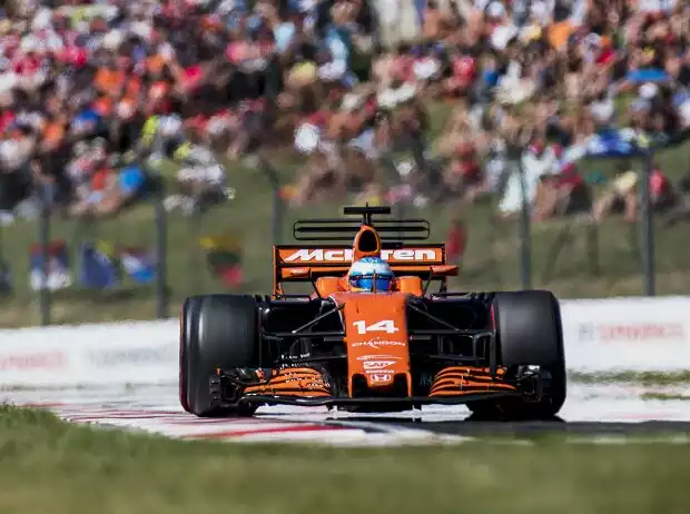 Titel-Bild zur News: Fernando Alonso