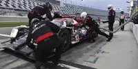 Neel Jani, Nick Heidfeld