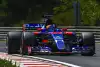 Bild zum Inhalt: Toro Rosso: Positiver Ungarn-Test wichtig für Performance