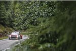 Sebastien Loeb (Citroen)