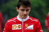 Charles Leclerc: So litt der "nächste Vettel" für die Formel 1