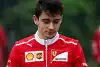 Bild zum Inhalt: Charles Leclerc: So litt der "nächste Vettel" für die Formel 1