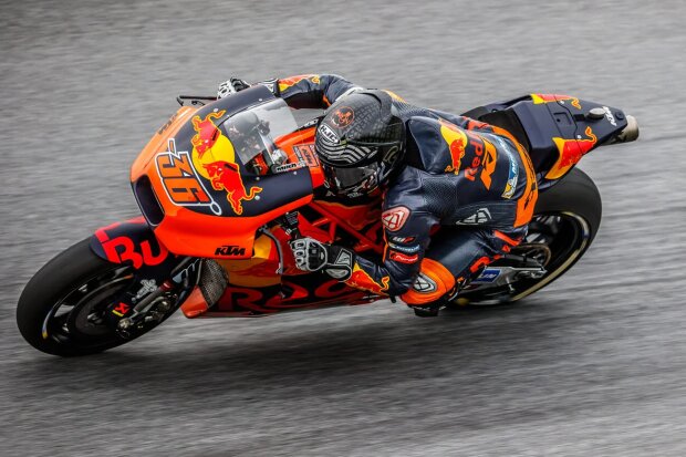 ~Mika Kallio~ ~Mika Kallio~