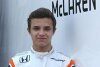 Bild zum Inhalt: McLaren-Talent Lando Norris: Deutscher ist der größte Gegner