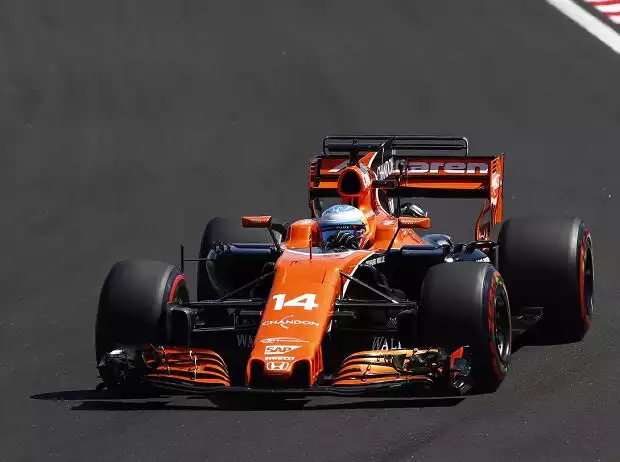 Fernando Alonso, Stoffel Vandoorne Titel-Bild zur News: Fernando Alonso, Stoffel Vandoorne